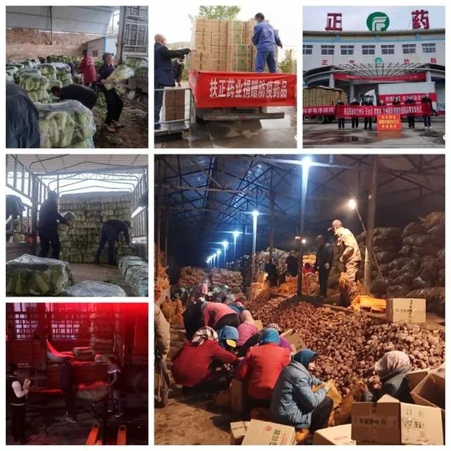 【定西哪个地区有疫情发生,定西哪个地区有疫情发生过】-第1张图片