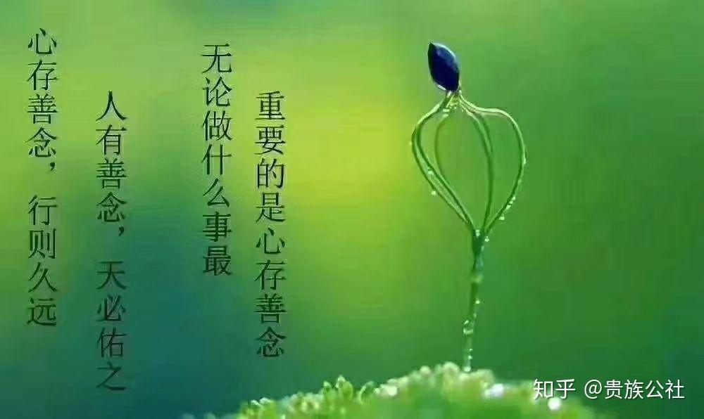 3分钟教程“天天牌友会免费挂安装”(详细透视教程)-知乎-第2张图片
