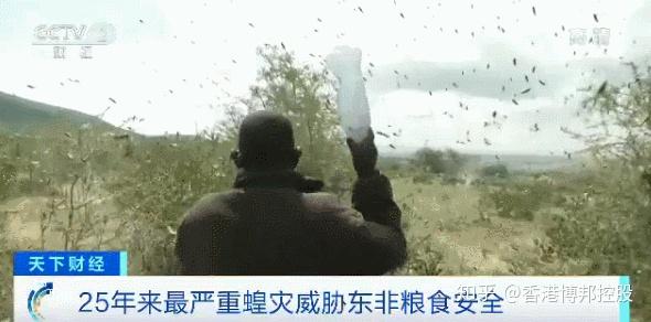 最新疫情分布东非地区(东非新冠)-第1张图片