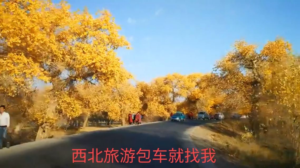 西北地区疫情简介/西北地区疫情简介最新
