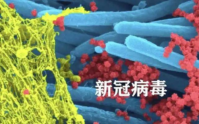 疫情爆发地区图片真实吗/疫情爆发的图片-第1张图片