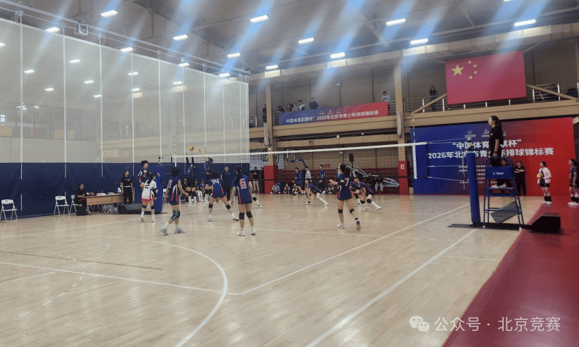 2026更新下载“真人竞技的确可以开挂”详细分享装挂步骤教程-第2张图片