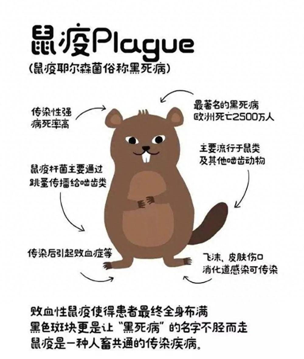 近来发生疫情的地区.现在疫情爆发的地点？