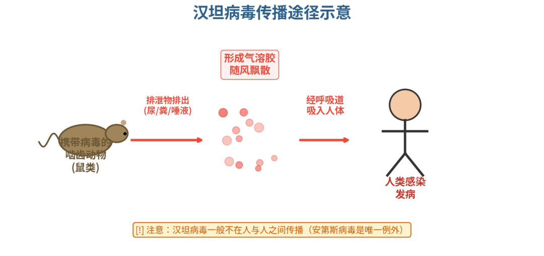 【什么是疫情传播地区名称,疫情传播途径 都有哪三大途径些?】-第1张图片
