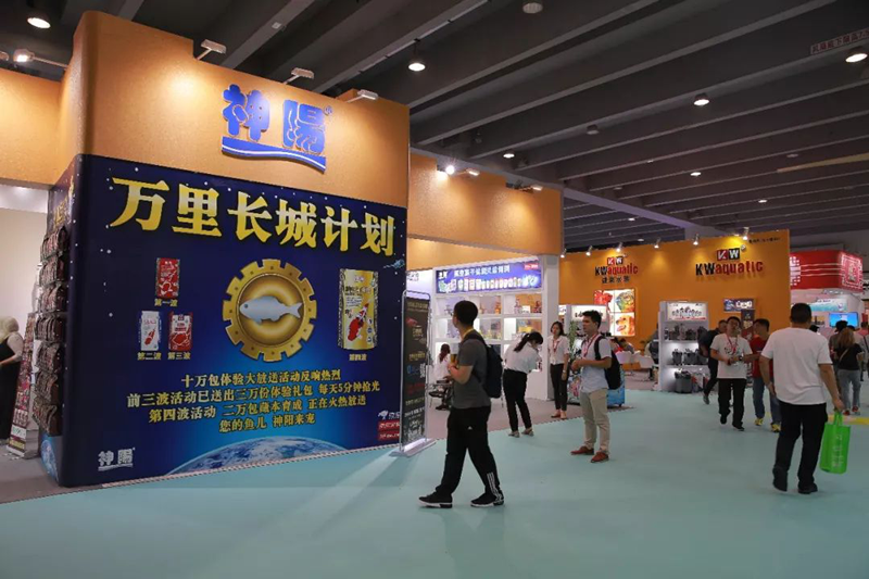 3分钟学会“羊城牌乐汇透视软件”附开挂脚本详细步骤