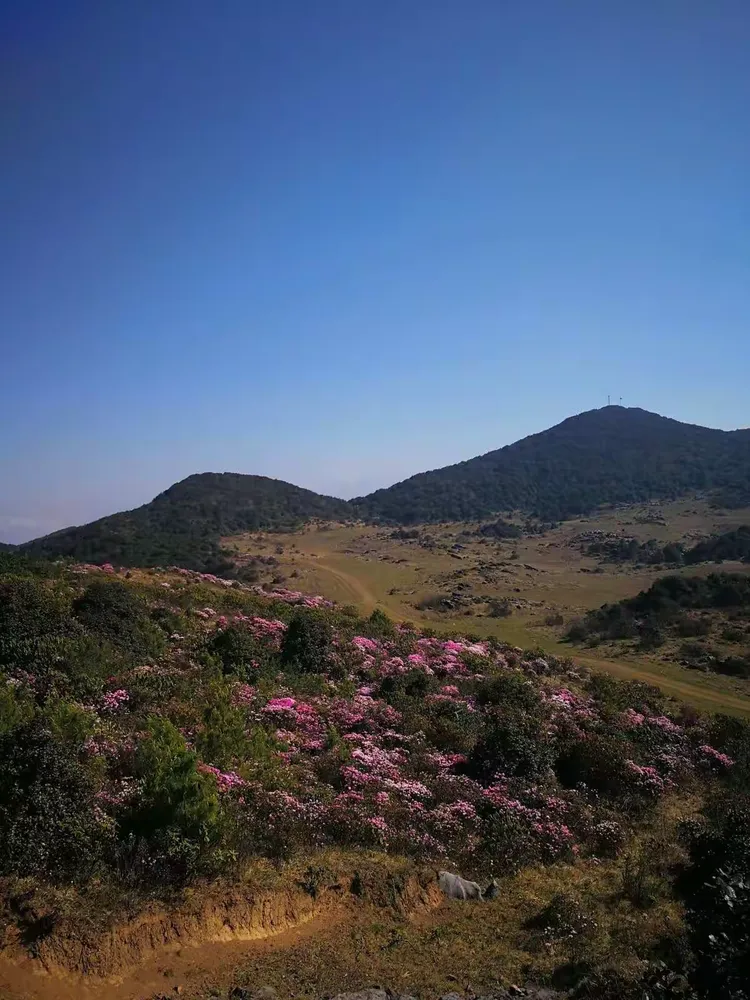 宣威东山地区疫情情况/宣威东山风景区介绍-第1张图片