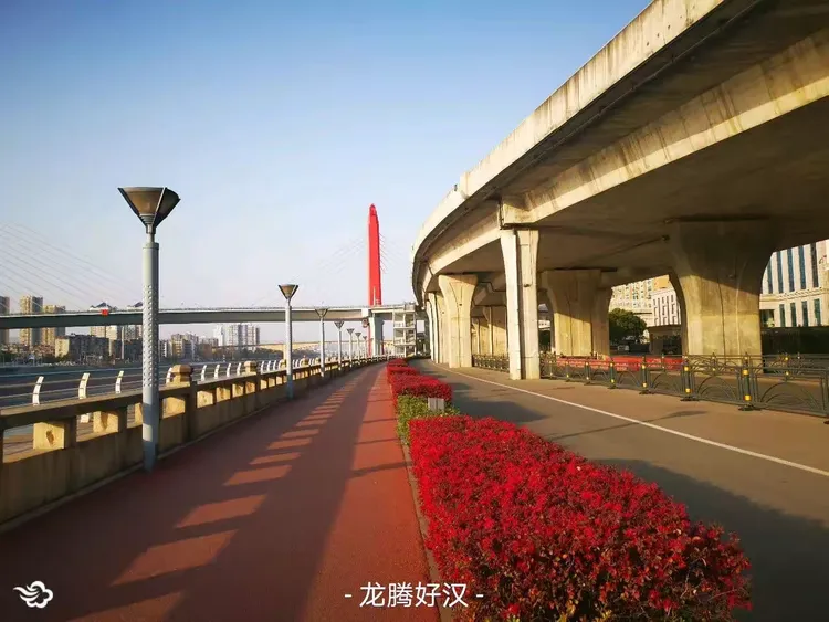 【宜昌疫情封路有哪些地区,宜昌疫情封城通知】-第2张图片