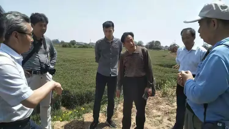 【易阳什么地区有疫情,易阳县属于哪里】-第1张图片