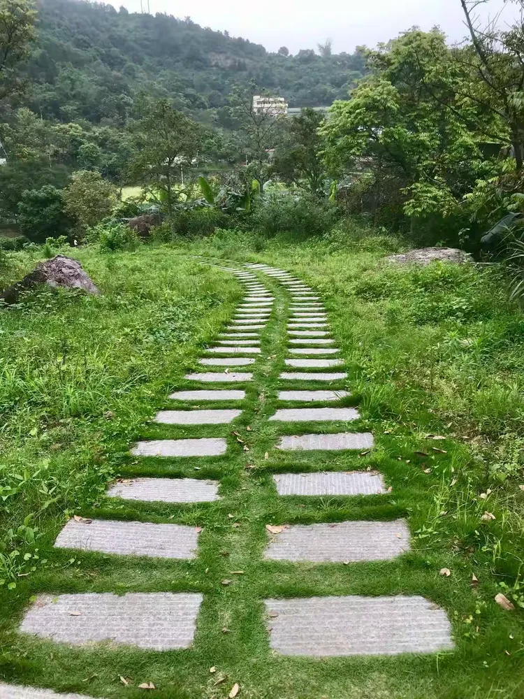 龙谷地区最新疫情通报(龙谷风景区)-第2张图片