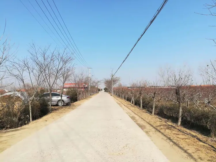 大洼地区新冠疫情/大洼区疫情报告-第1张图片