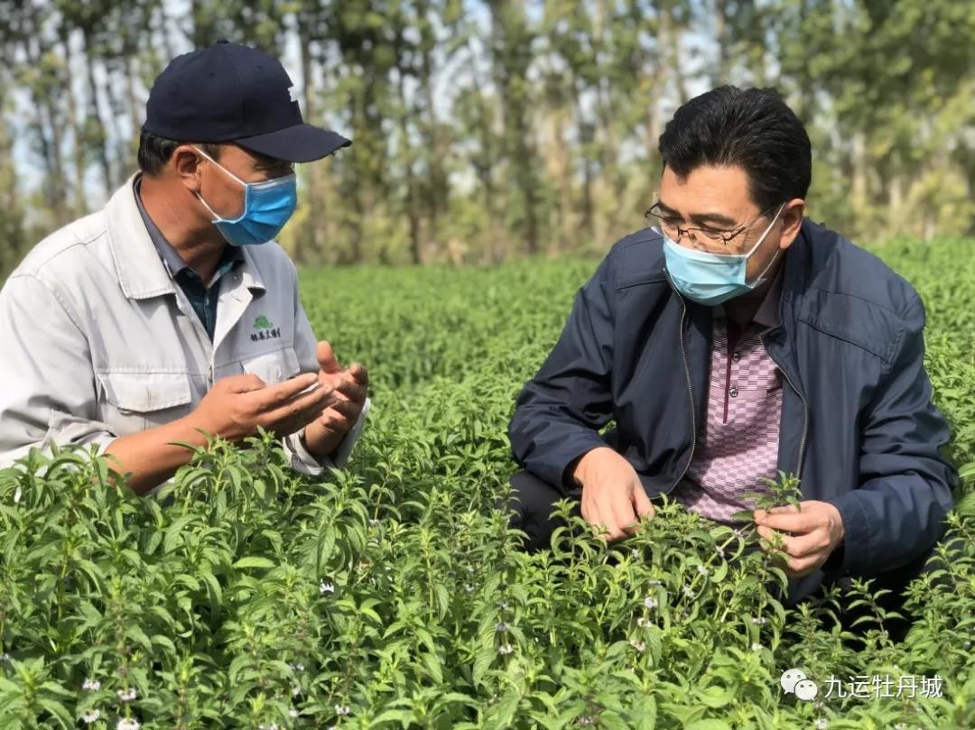 【阜康疫情风险地区最新,阜康市疫情防控措施】