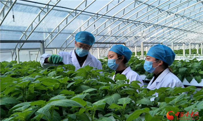 甘肃平凉地区疫情咋样了(甘肃平凉地区疫情咋样了最新消息)-第1张图片