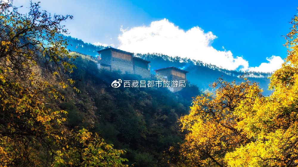 昌都市哪些地区有疫情/昌都市有几个县?-第2张图片