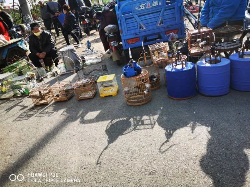 疫情地区摆摊卖货违法吗.疫情期间摆地摊收费吗？