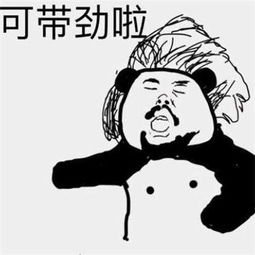 今日必看教程“微乐跑得快开挂下载安装”开挂详细教程-第3张图片