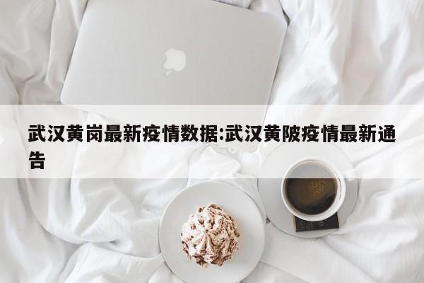 武汉地区疫情严重不严重.武汉疫情严重的区域是哪里?-第1张图片